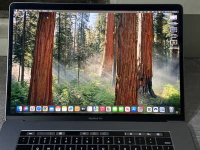 Apple MacBook Pro 15" 2019 | Core i9 | 32GB RAM | 1TB SSD | 4GB Radeon