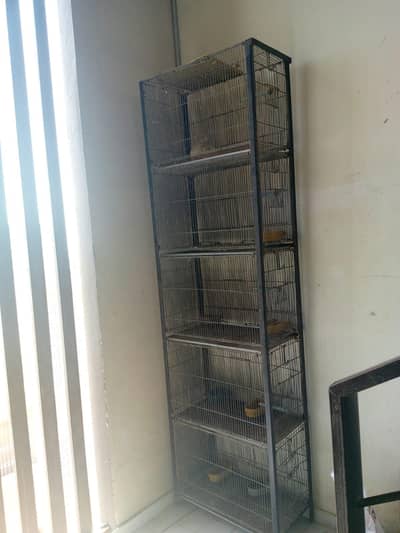 cage for sale.