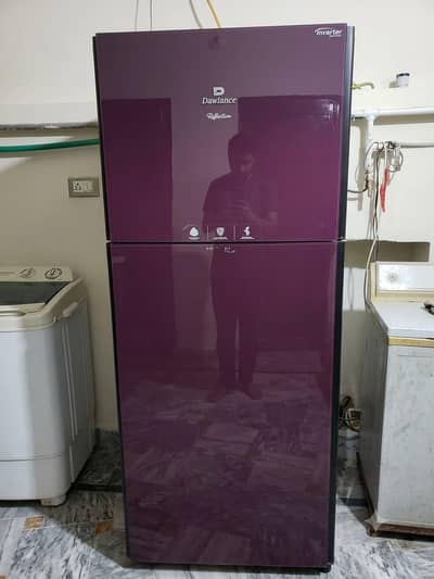 full size new condition freeze