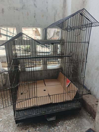 Vast & Beautiful Parrot Cage for Breeding