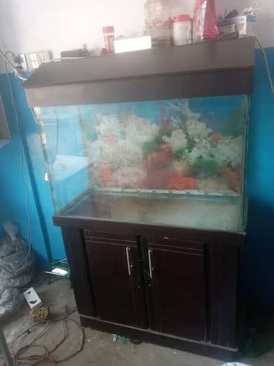 aqurium 3 feet 8mm