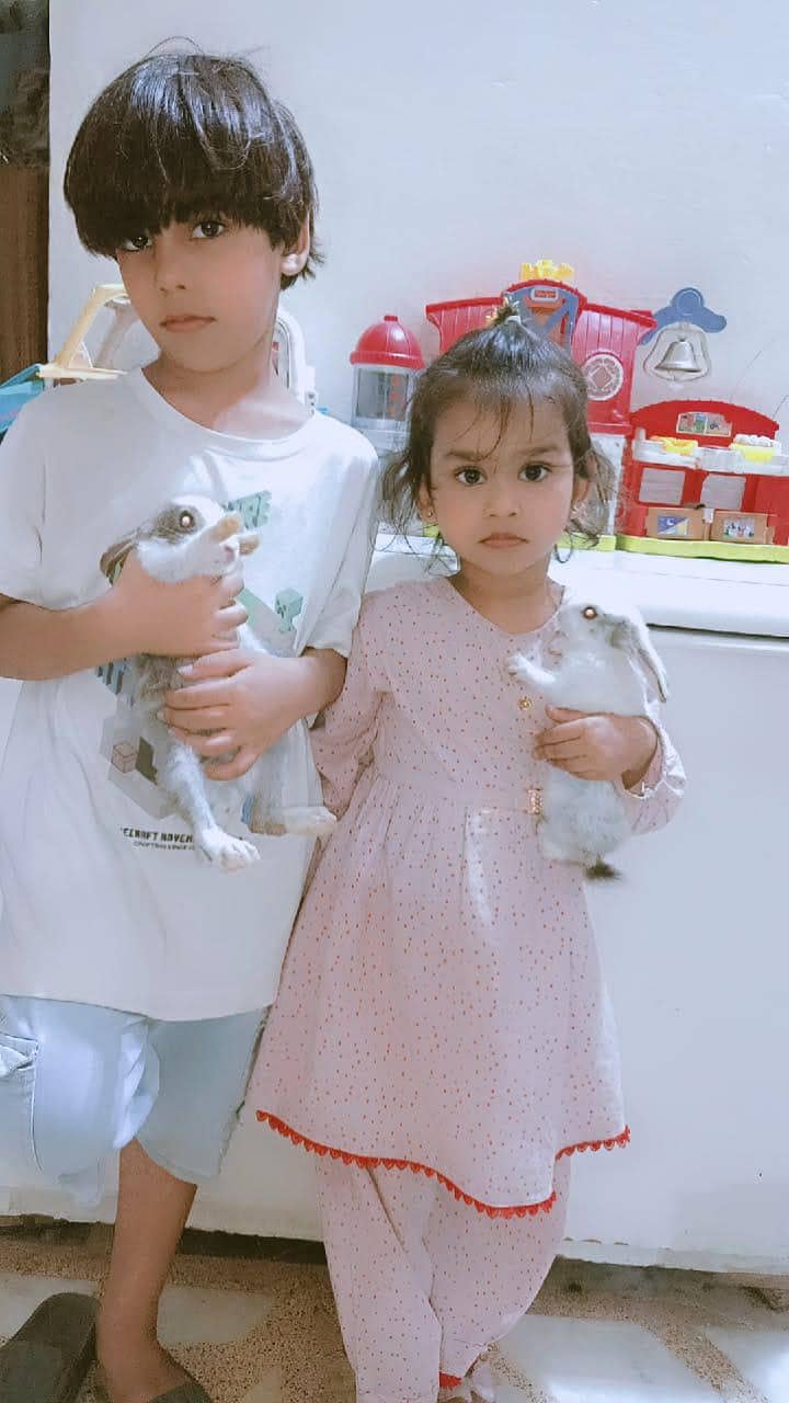 Rabbits  4