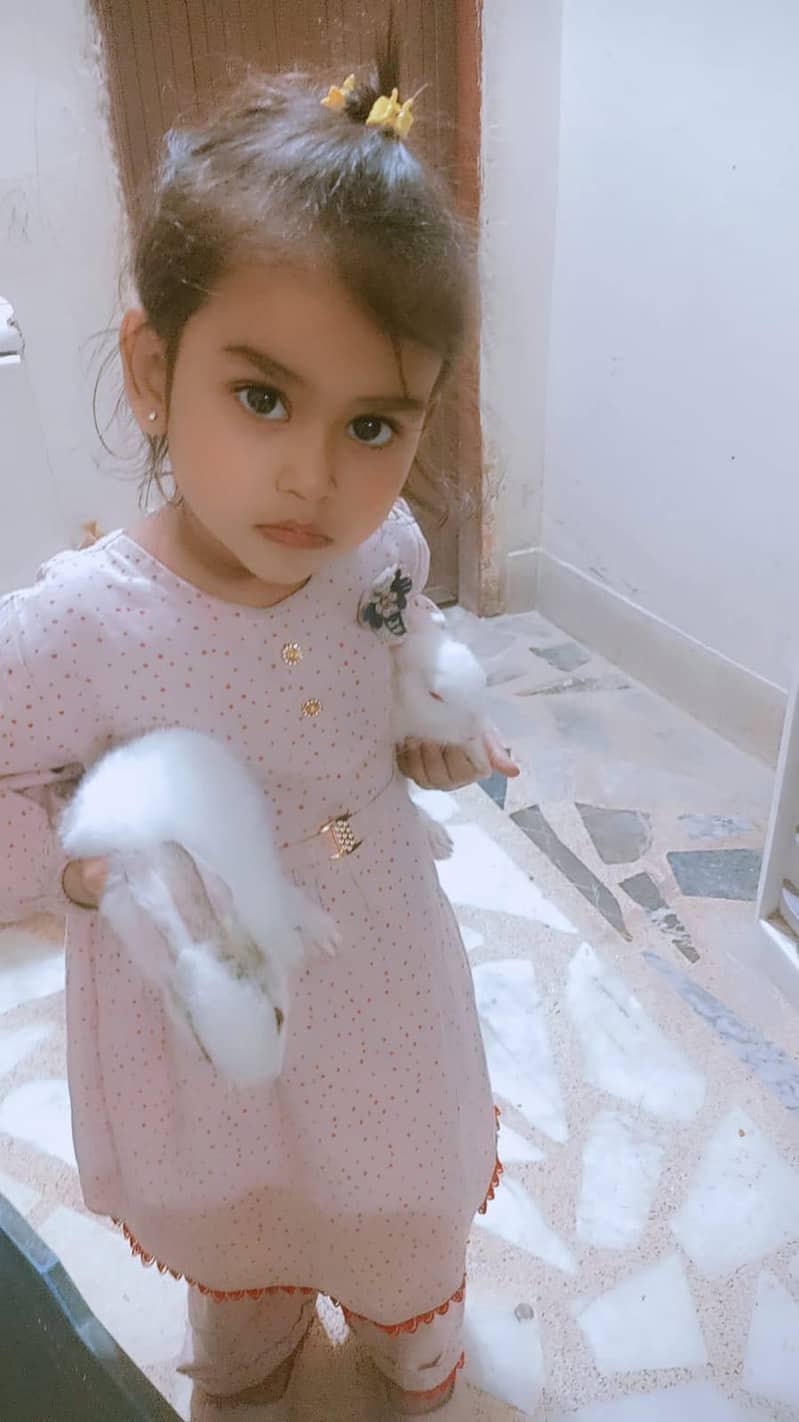 Rabbits  5