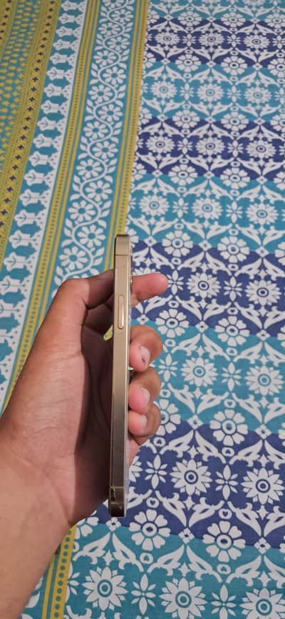 iPhone 12 Pro officially pta