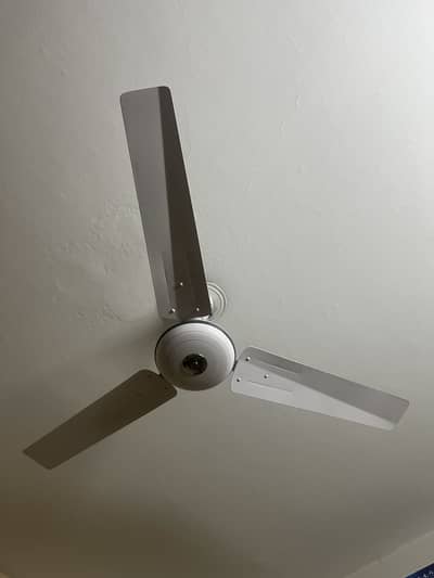 4 ceiling fans in excellent condition