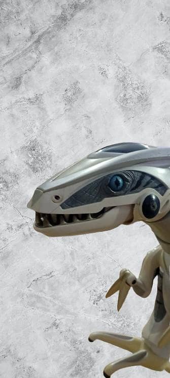 Dinosaur 7