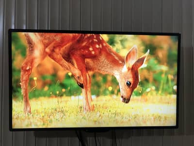 Sony Bravia KDL-40EX650-All original