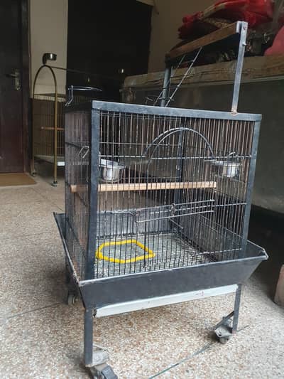 Cages Special for tamed Birds