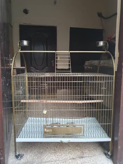 Golden cage Special for tamed Birds