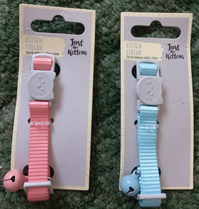 impoeted Cat harness,  leash and other accessories — photo 3