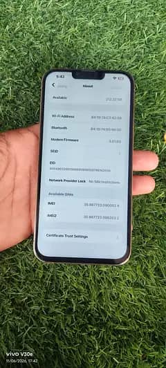 Apple iPhone 13 Pro Max