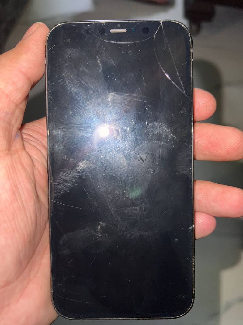 iPhone 12 Pro 0