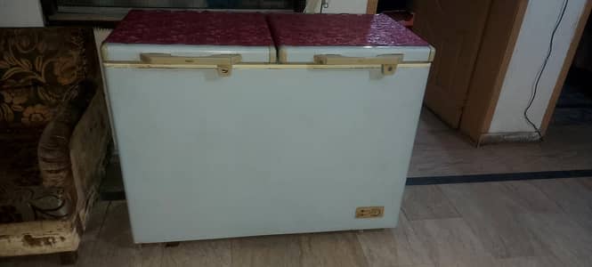 Double door deep freezer