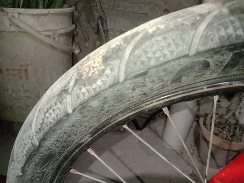 Morgan cycle 4