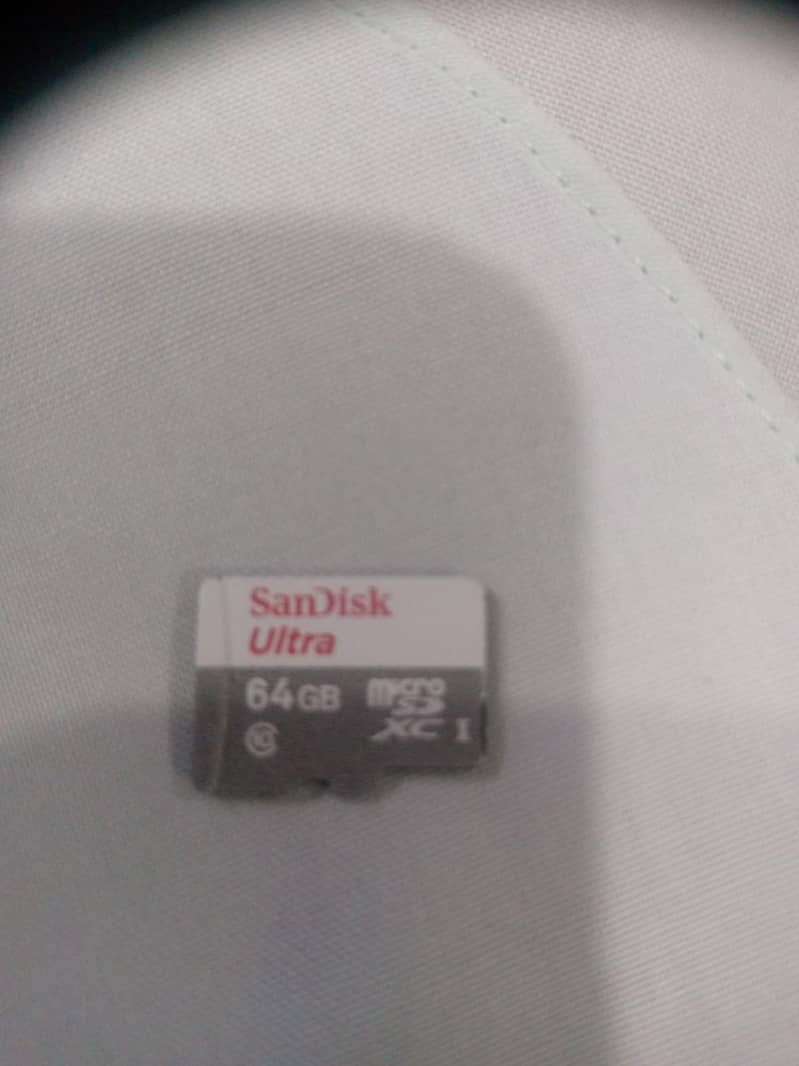 SanDisk 1