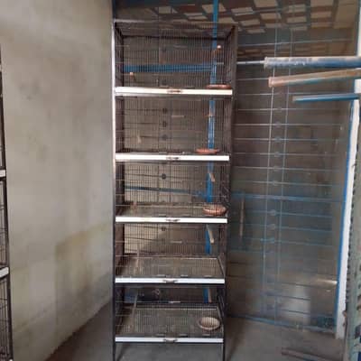 Birds Cage