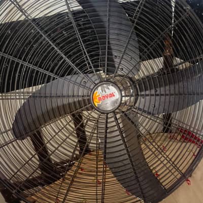 Royal Bracket Fan 24" inch