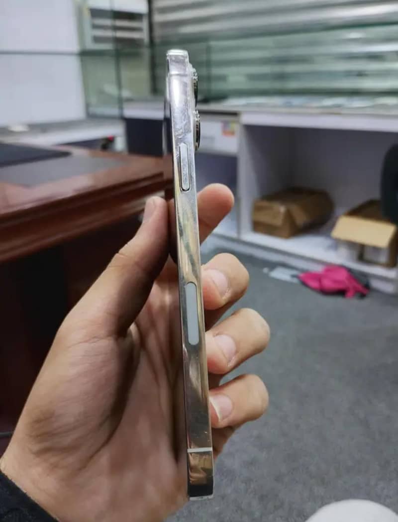 iPhone 13 Pro Max 1