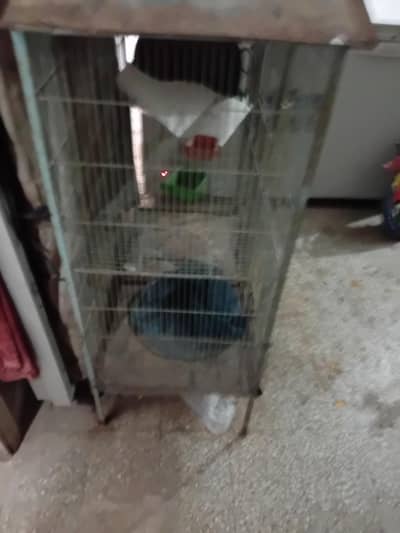 Urgent Cages for Sale