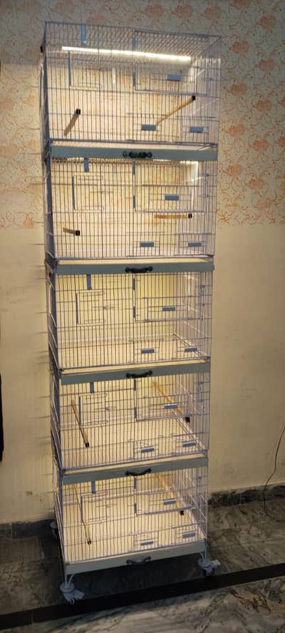 Birds Cage