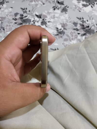Apple iPhone 12 Pro jv