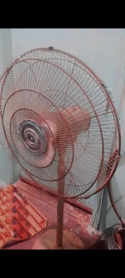 tebil fan