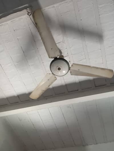 Celling fan for sale