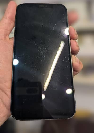 Apple iPhone 12 Pro Max