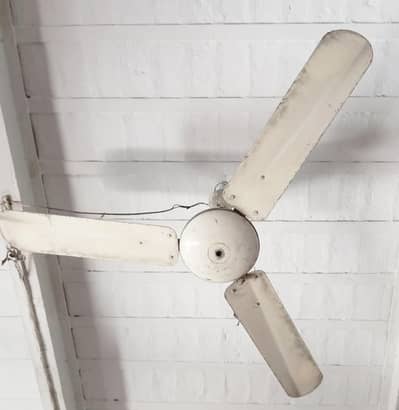 Celling fan for sale