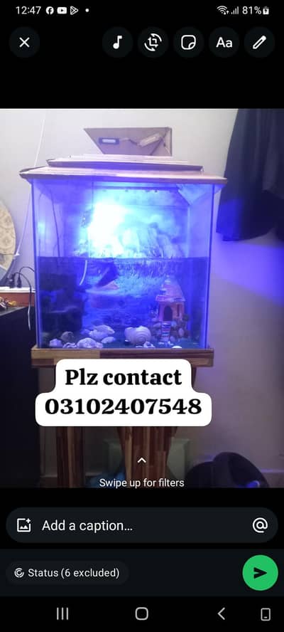 fish tank set