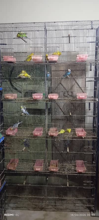 Bird Cages for Sale (Strong & Clean)