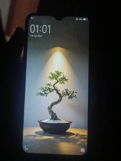 Vivo Y17