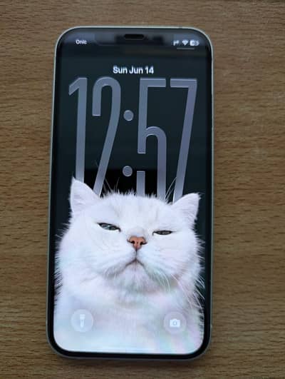 Apple iPhone 12, 256GB, BH 100%, PTA Approved
