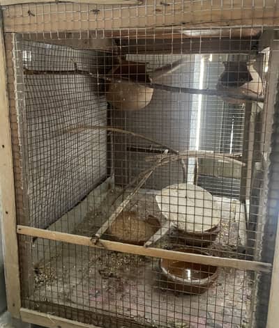 Birds and fram urgent sale
