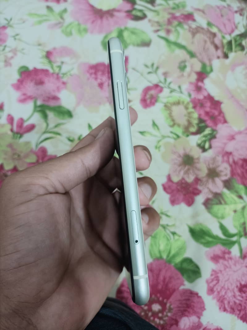 Iphone 11,     10/10 Condition 1
