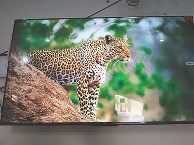 TCL 50 Inch Model Number 50S59K Google LED