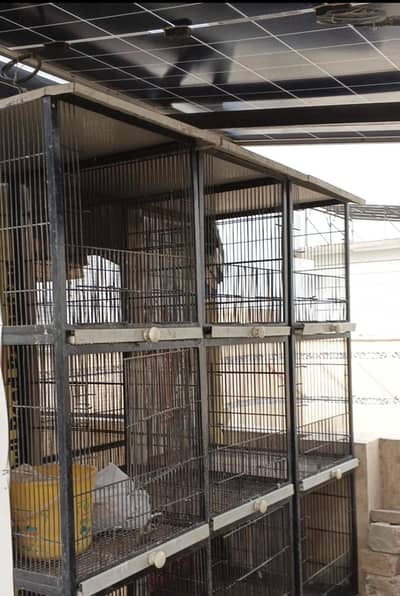 2 cages for sale