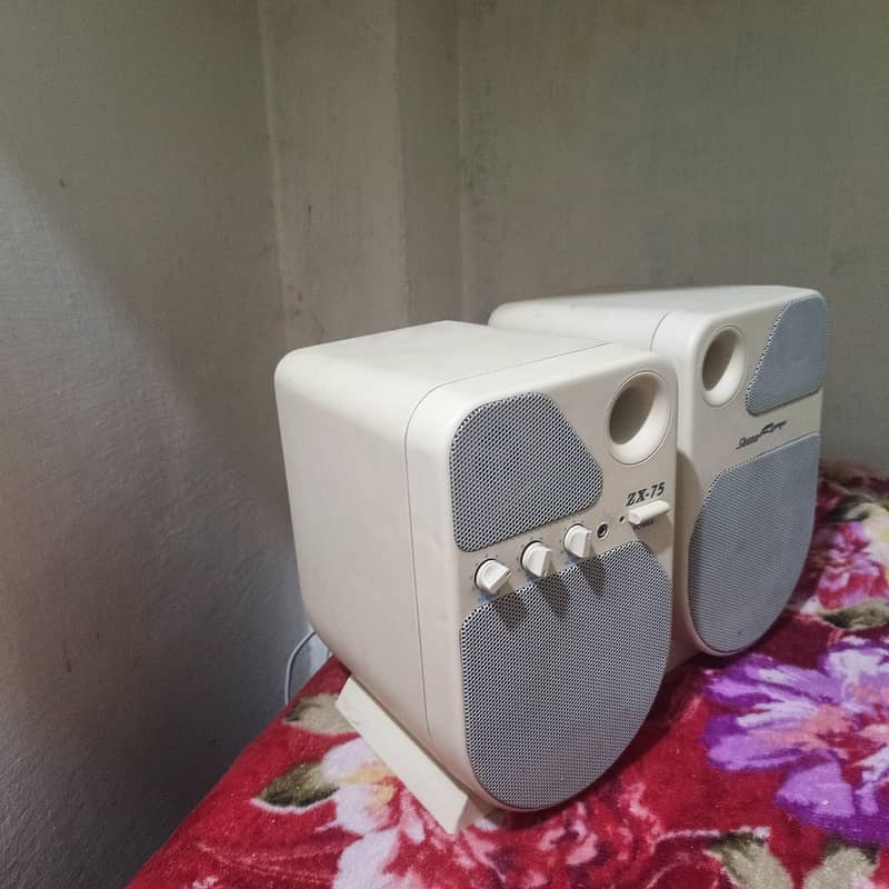 Speaker 5