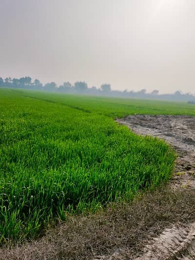 Prime Location Land Available For Sale For Purpose Of Town