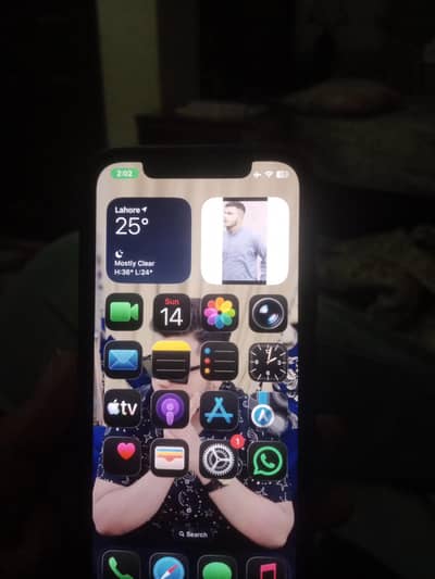 IPhone 12 lush condition 1st owner