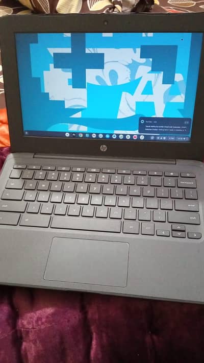 HP Chromebook