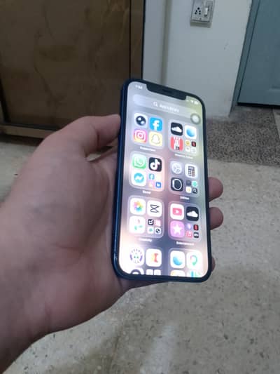 Apple iPhone 12