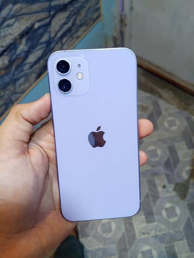 Apple iPhone 12