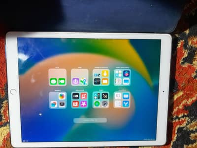 ipad pro 256 gb