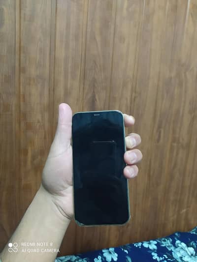 Apple iPhone 12 Pro Max