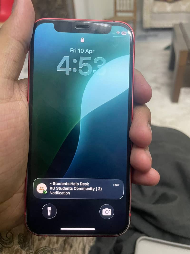 Apple iPhone 12 mini 1