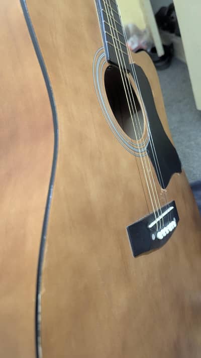 acoustic guitar