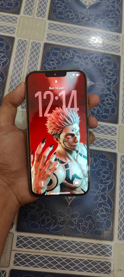 Apple iPhone 13 Pro Max