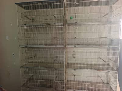 Birds Cages for sale