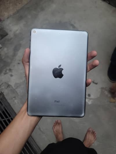 Ipad mini 5